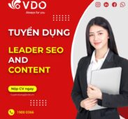 Công ty Cổ phần VDO tuyển dụng Leader SEO & Content Marketing