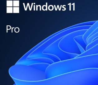 Microsoft Windows Pro 11 64Bit