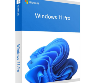 Microsoft Windows Pro 11 64Bit